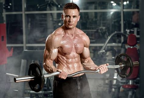 15 Best Bodybuilding Programs: Beginner to Advanced